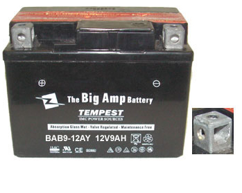 Baace CB9-12D 12V 10Ah Replacement Battery (2 Pack)